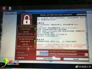 緊急安全通告 勒索病毒新型變種威脅加劇，請立即檢查并加固電腦防護設(shè)置